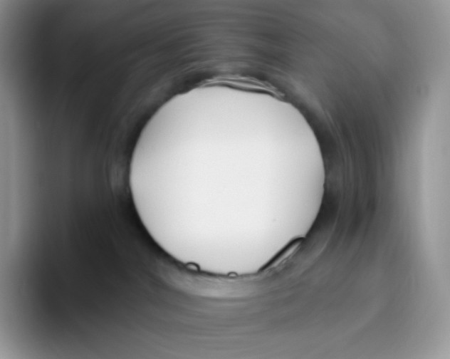 X0000093500044200711091711