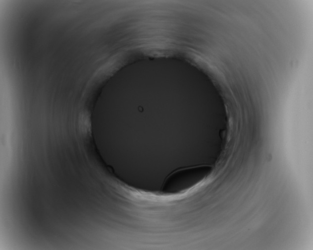 X0000093500048200711091711