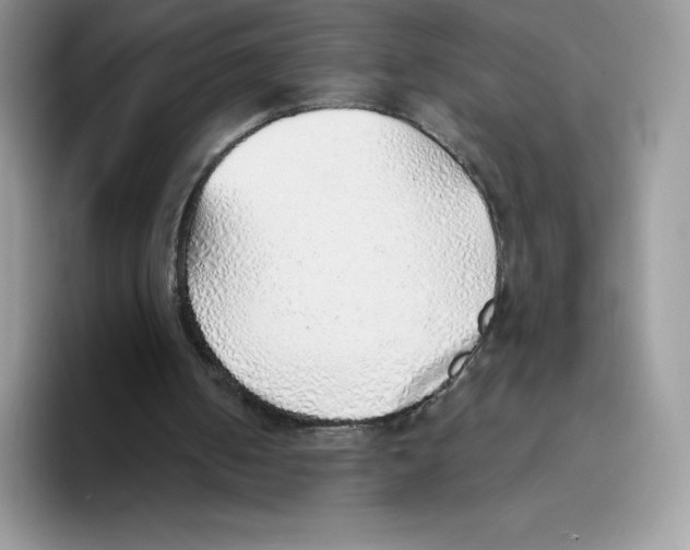 X0000093500050200711091710