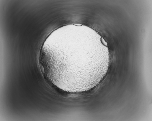 X0000093500051200711091710