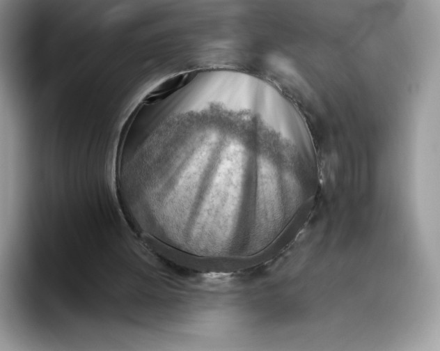 X0000093500052200711091710