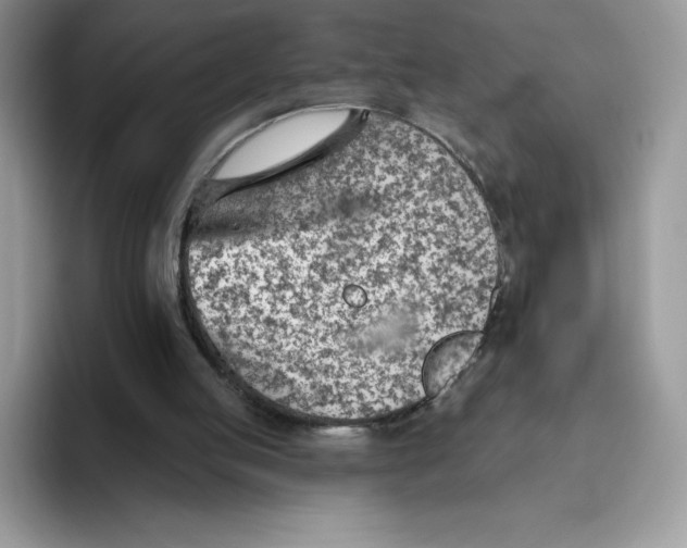 X0000093500053200711091710