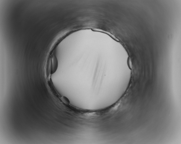 X0000093500054200711091710