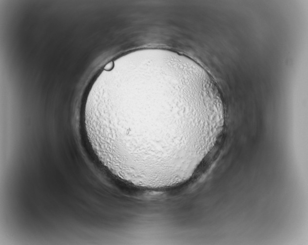 X0000093500055200711091710