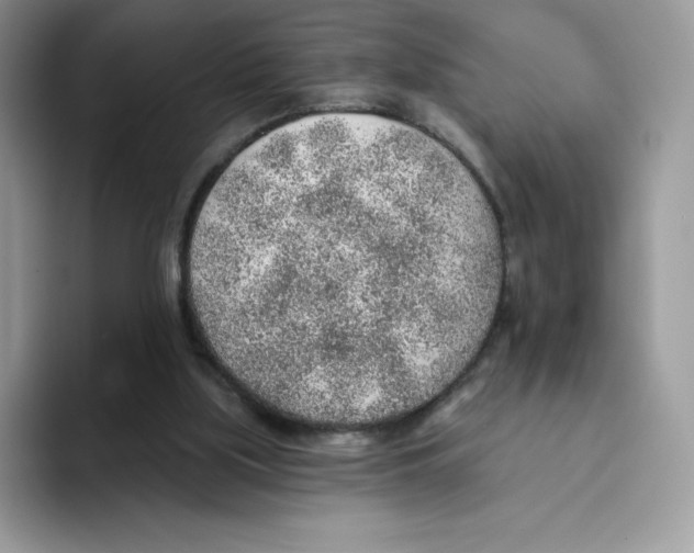 X0000093500059200711091710