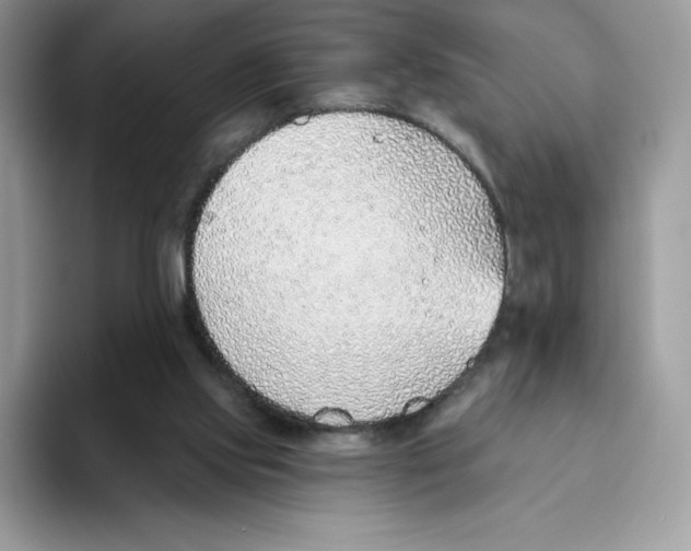 X0000093500061200711091710