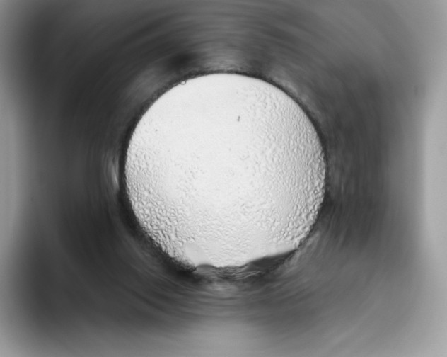 X0000093500062200711091710