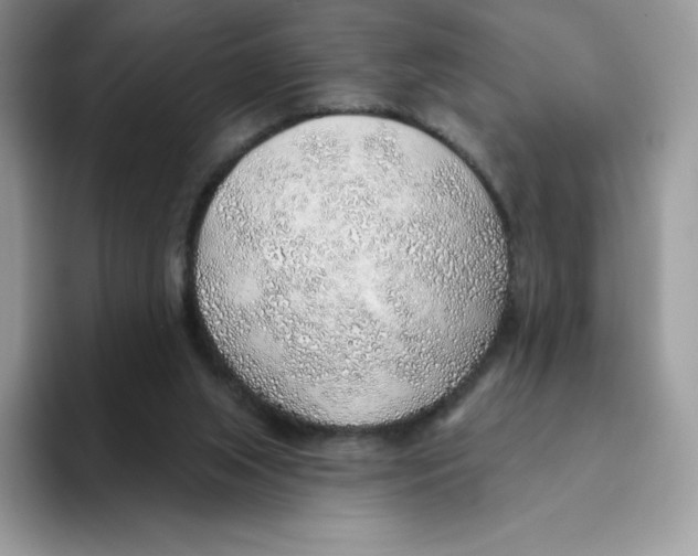 X0000093500063200711091710