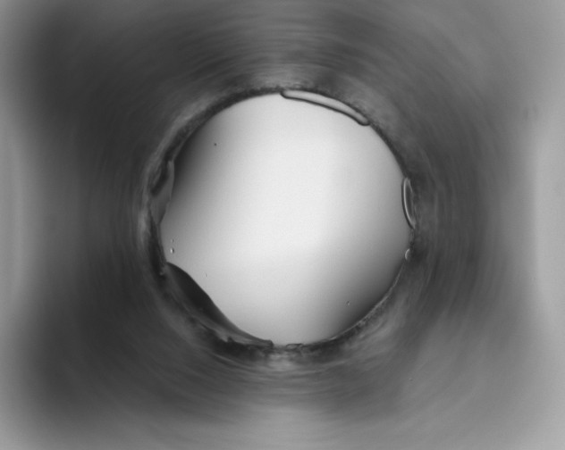 X0000093500064200711091710