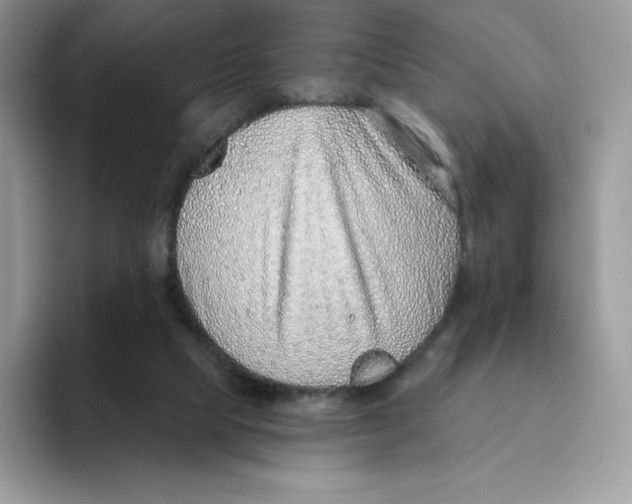 X0000093500065200711091710