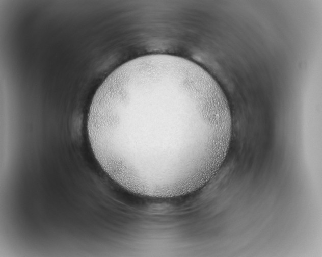 X0000093500066200711091710