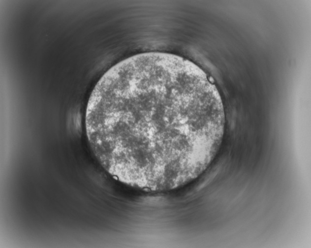 X0000093500067200711091710