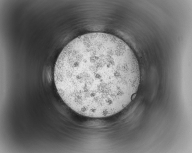 X0000093500069200711091710