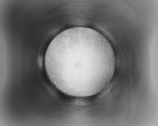 X0000093500070200711091710