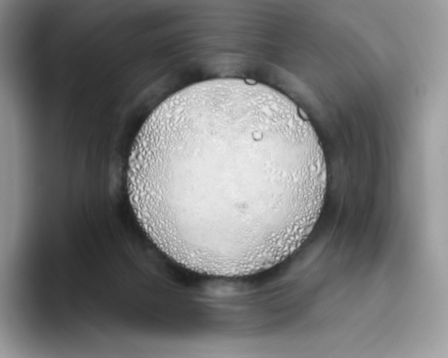 X0000093500073200711091710