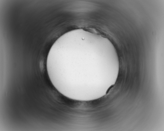 X0000093500074200711091710