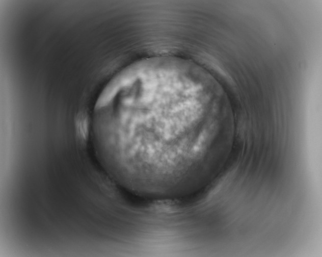 X0000093500076200711091710