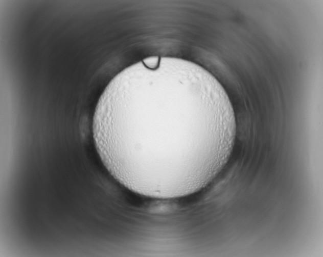 X0000093500077200711091710