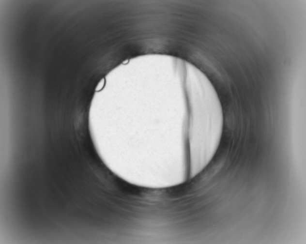 X0000093500079200711091711