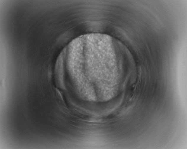 X0000093500080200711091711