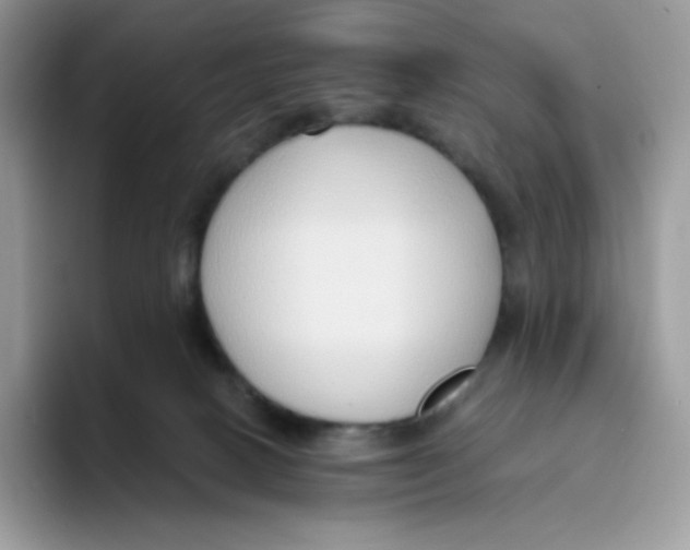 X0000093500082200711091711