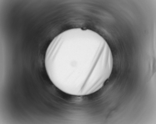 X0000093500083200711091711