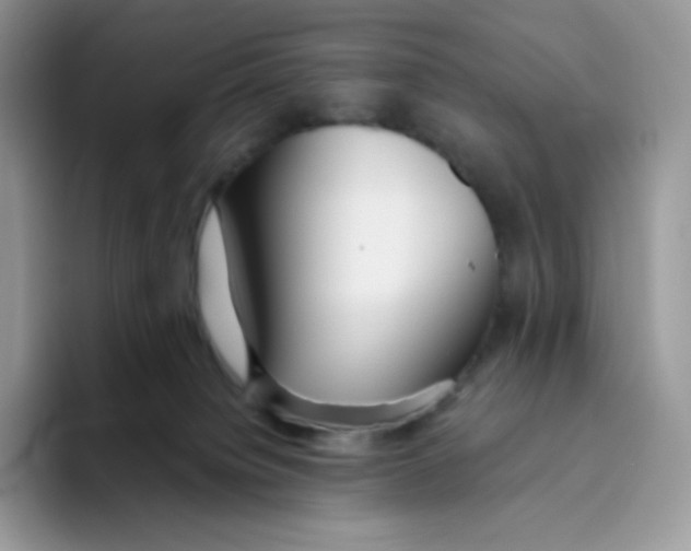 X0000093500084200711091711