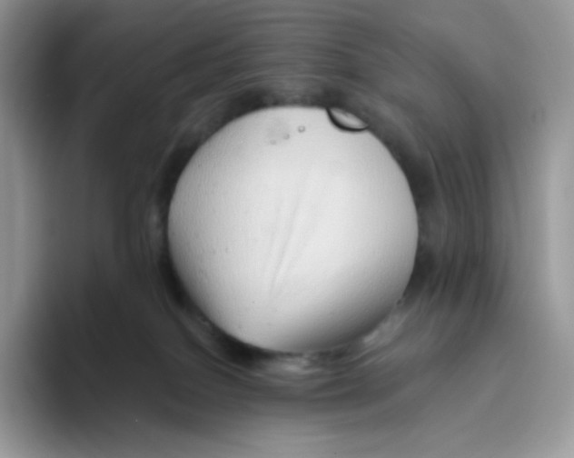 X0000093500086200711091711