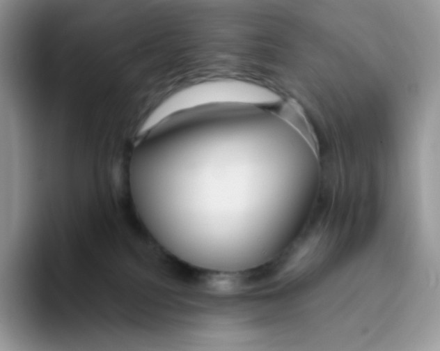 X0000093500088200711091711