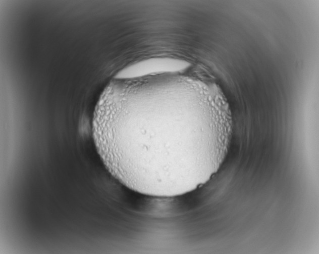 X0000093500089200711091711