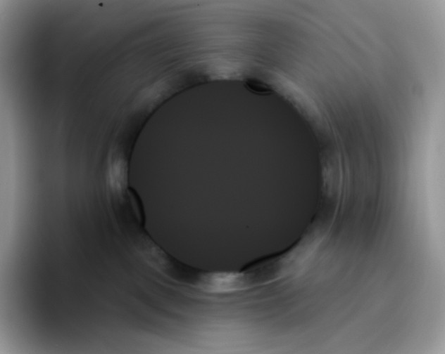 X0000093500093200711091711