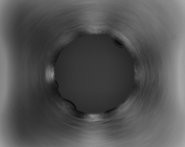 X0000093500095200711091711