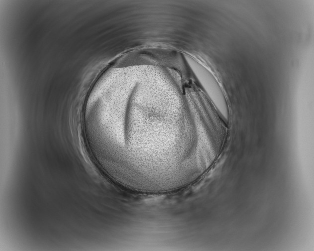 X0000093500097200711091710