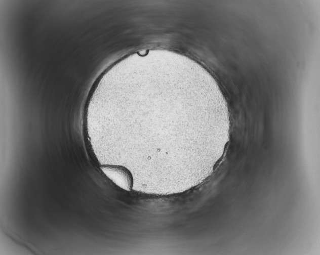 X0000093500100200711091710