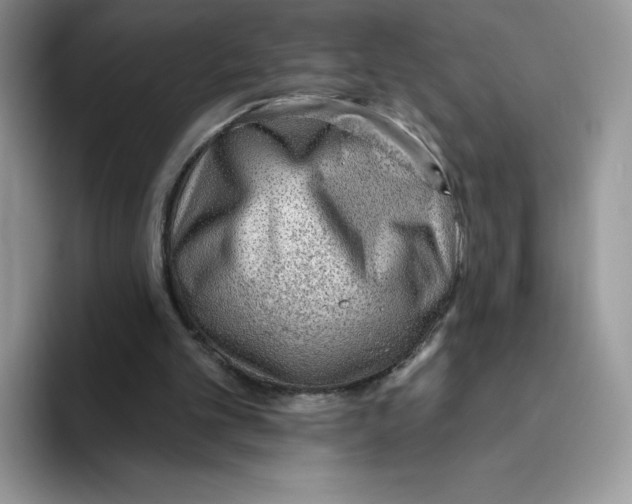 X0000093500101200711091710