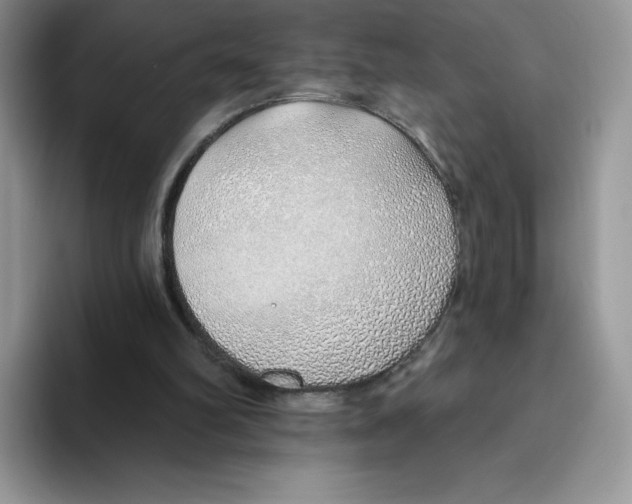 X0000093500102200711091710