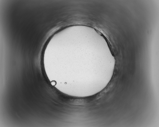 X0000093500104200711091710