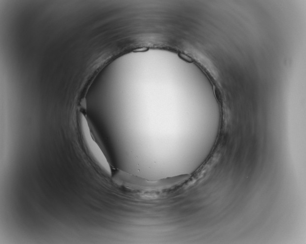 X0000093500105200711091710