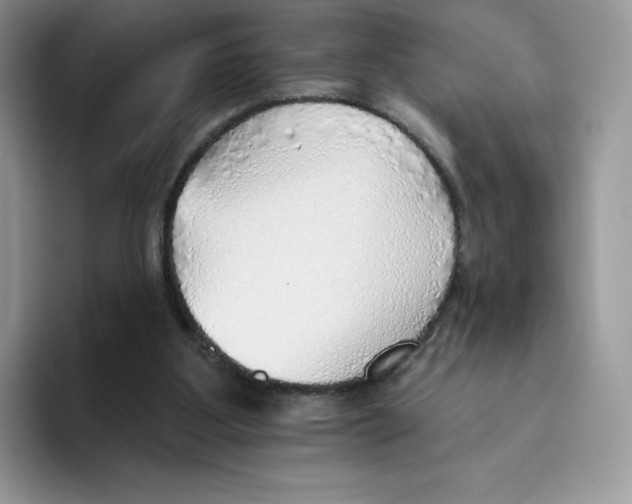 X0000093500107200711091710