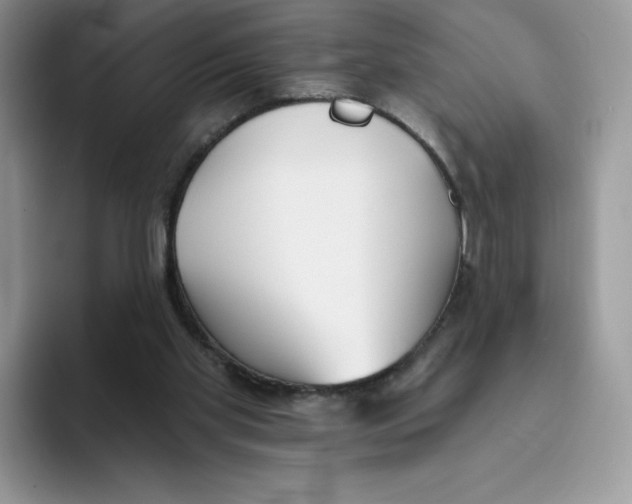 X0000093500109200711091710