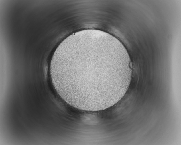 X0000093500110200711091710