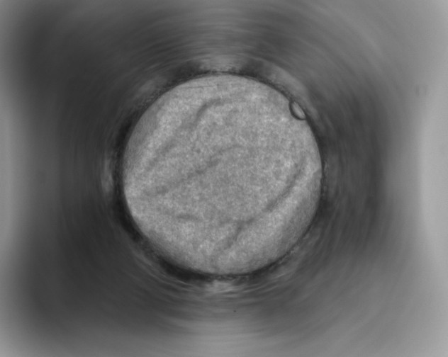 X0000093500114200711091710