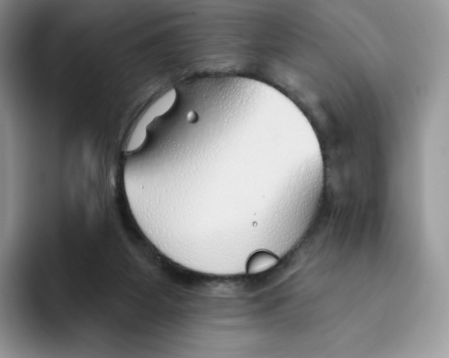 X0000093500115200711091710