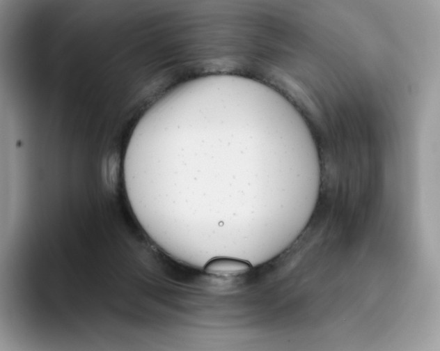 X0000093500118200711091710