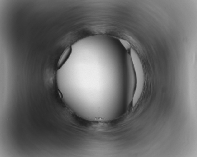 X0000093500125200711091710