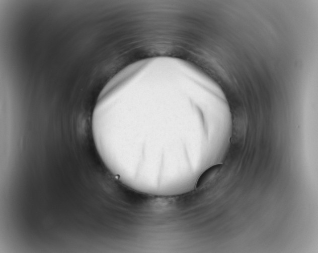 X0000093500126200711091710