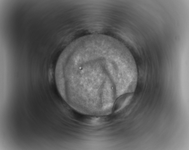 X0000093500130200711091710