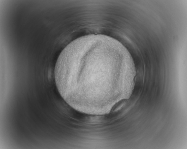 X0000093500134200711091710