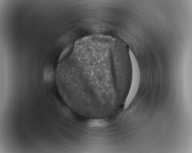 X0000093500137200711091710