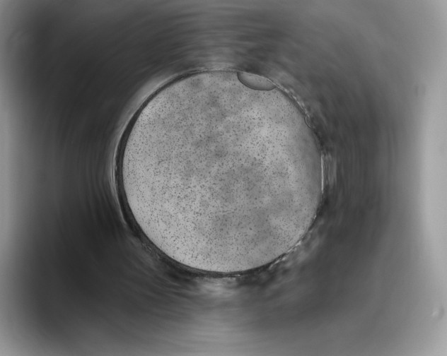 X0000093500147200711091709